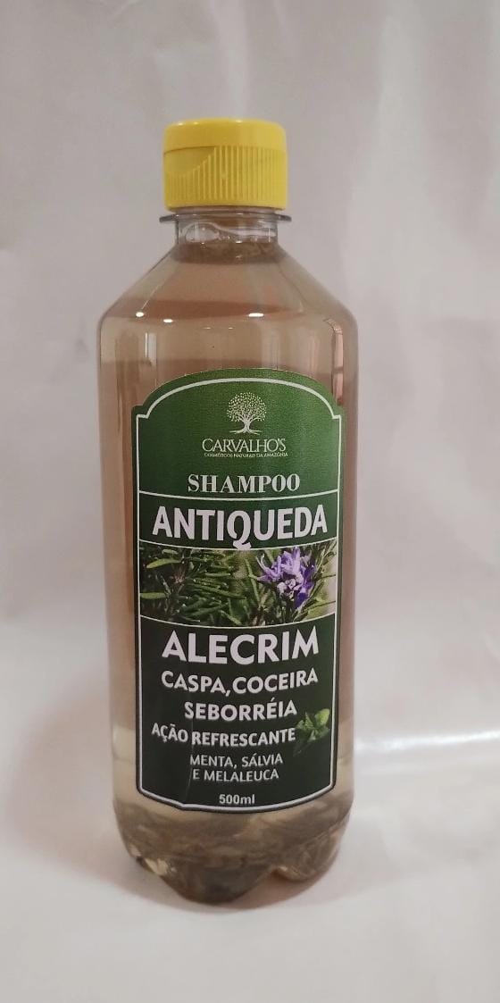 Shampoo Antiqueda Nova Fórmula e Tônico Capilar Alecrim