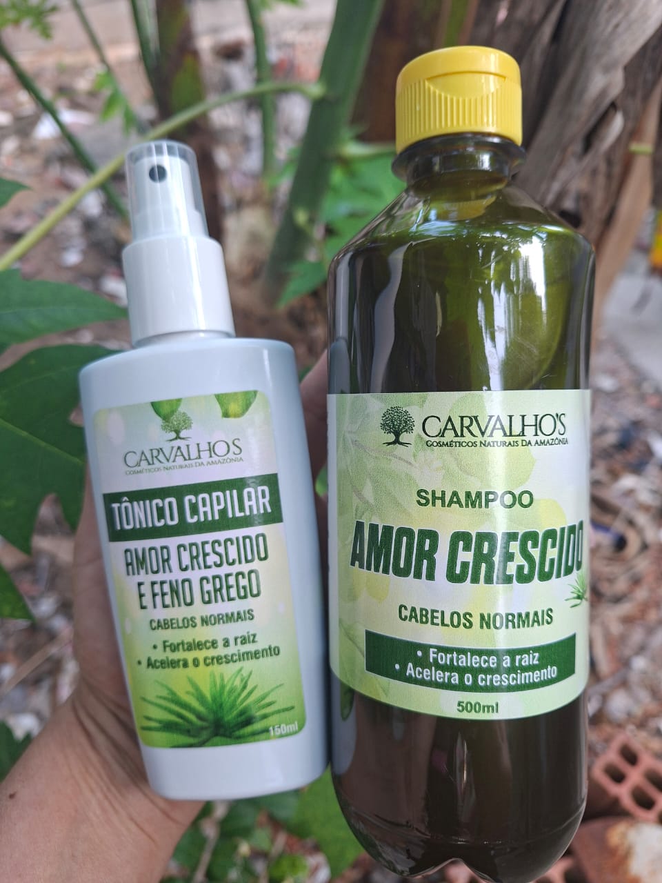 Shampoo Amor Crescido 🌿✨